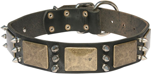 Gorgeous leather collar with plates and spikes