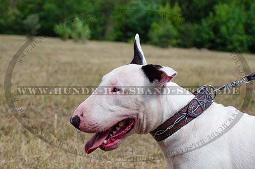 Exklusives Lederhalsband für Ihren Bullterrier bemalt - zum Schließen ins Bild klicken