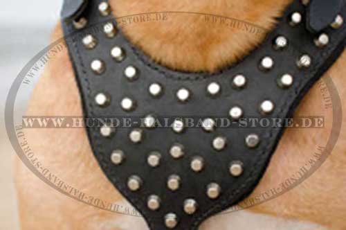 Dog Leather Harness Exclusive with Pyramids for Bordeauxdogge 