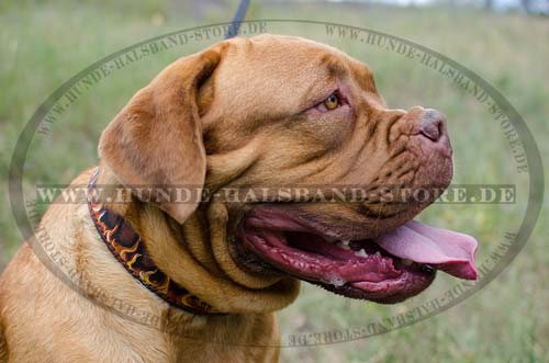 Dogue de Bordeaux Collar, Flame Style 