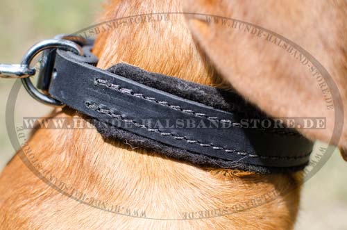 Hundehalsband, 25 mm | Bordeauxdogge Halsband mit Filzpolsterung