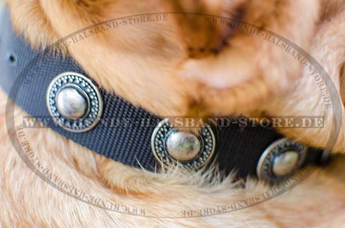 Hundehalsband für Bordeauxdogge aus Nylon mit Silber Konchen