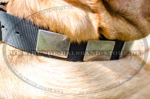 Designer Dog Collar for Dogue de Bordeaux 