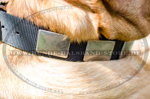 Feines Design Halsband für Bordeauxdogge 