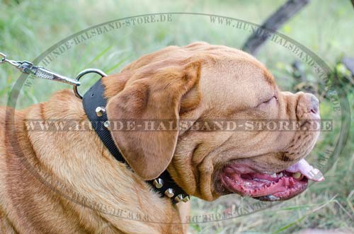 Hundehalsband Nylon, Bordeauxdogge