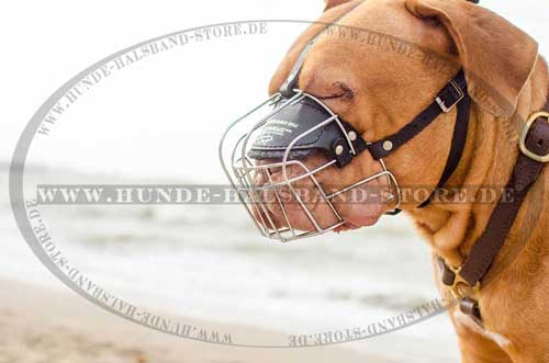 Dogue de Bordeaux Wire Basket Muzzle 