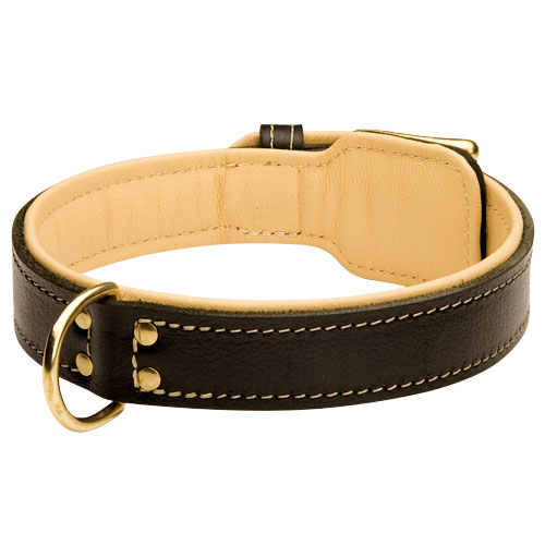 Dog Leather Collar + Nappa Padding 