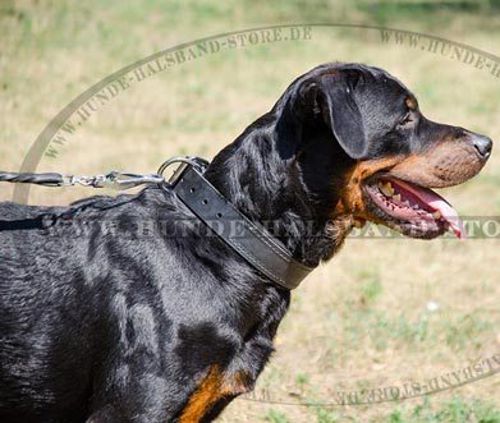 Bestseller Lederhalsband für Rottweiler echt breit