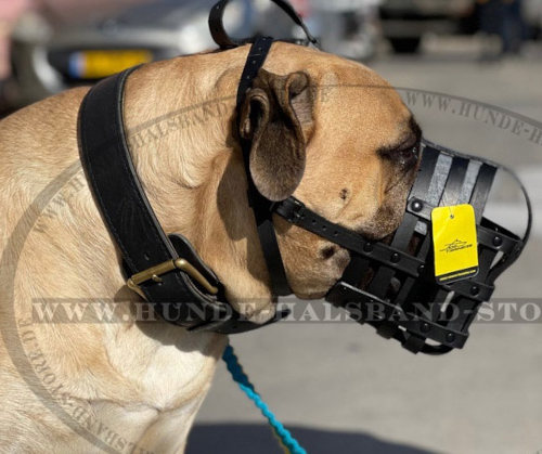 Bullmastiff Lederner Maulkorb von ForDogTrainers - zum Schließen ins Bild klicken