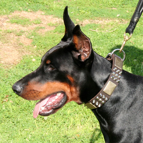 best spiked dog collar for doberman pinscher