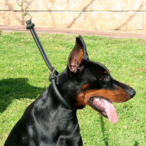 Hundehalsband Leder für Dobermann