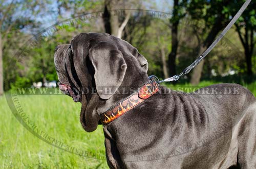 Halsband Leder, Flamme Stil | Mastino Napoletano Hundehalsband - zum Schließen ins Bild klicken