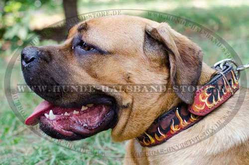 Designer Dog Collar Leather with Flame Paint for Cane Corso 