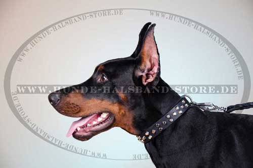 Design Halsband mit Pyramiden, Lederhalsband für Dobermann - zum Schließen ins Bild klicken