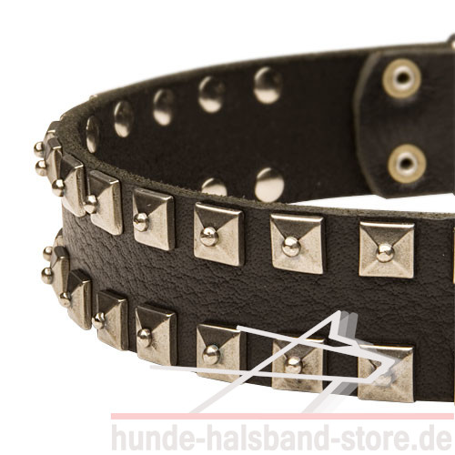 Breites Hundehalsband Leder mit quadratischen Nieten