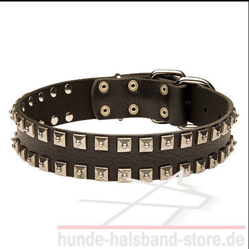 Breites Hundehalsband Leder mit quadratischen Nieten