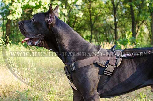 Nylon Harness K-9 for Great Dane