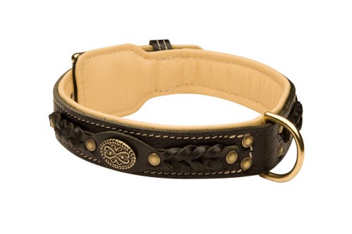 Dog collar for Great Dane