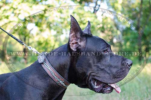 Hunde Halsband für Deutsche Dogge 