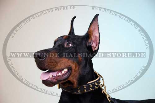 Dog Collar for Doberman with Spikes 