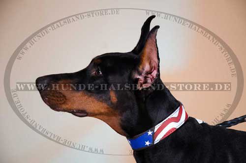 Doberman Dog Collar with Paint 