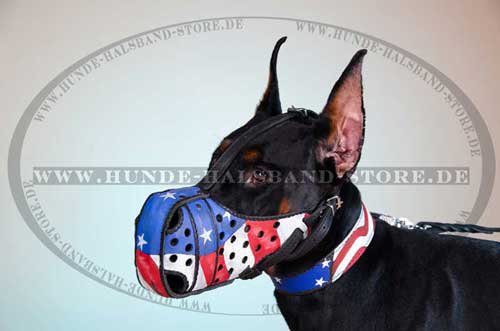 Muzzle Exclusive, Painted Dog Muzzle for Doberman 