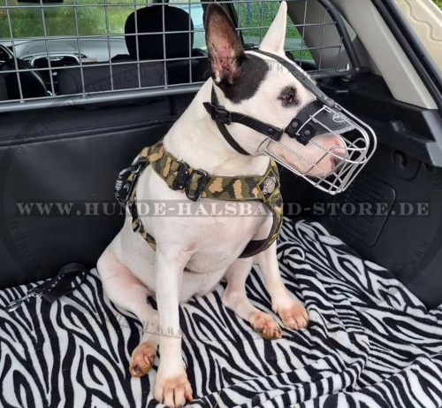 Drahtmaulkorb für Bullterrier - zum Schließen ins Bild klicken