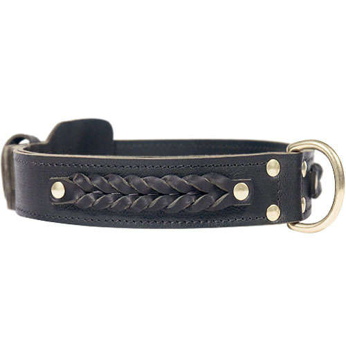 Big dog collar