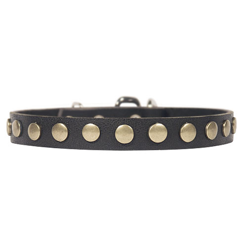 Dog leather collar with circles