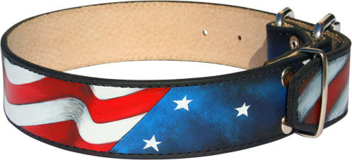 Designer Dog Collar Leather