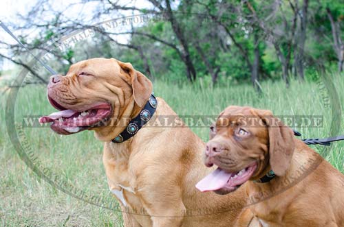 Bestseller-Halsband mit Blauen Steinen für Bordeauxdogge