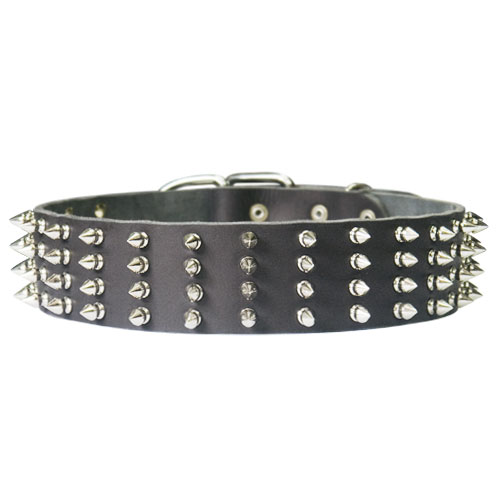 Extra wide spiked dog collar 