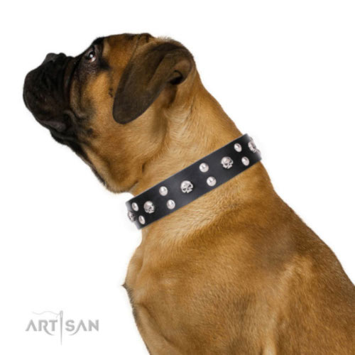 FDT Artisan Lederhalsband "Mystic Skulls" für Bullmastiff