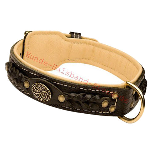 Exklusives Leder Hundehalsband, Top-Qualität - zum Schließen ins Bild klicken