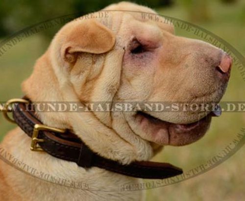 Shar-Pei Lederhalsband einzigartiges Design