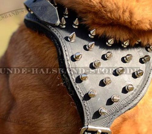 Brustgeschirr aus Leder mit Spikes für Shar-Pei