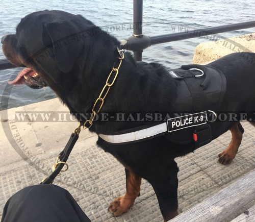 Nylon Geschirr k9 für Rottweiler - zum Schließen ins Bild klicken