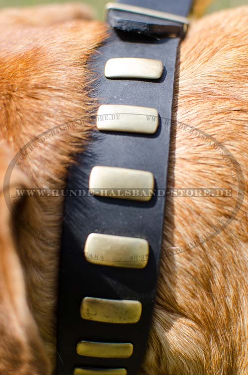 Exklusives Bordeauxdogge Halsband Leder