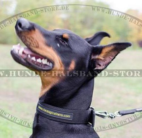 Super breites Halsband Nylon für DobermannⓃ