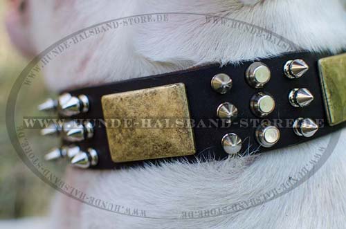 Hundehalsband Leder mit Schmuck für Bullterrier