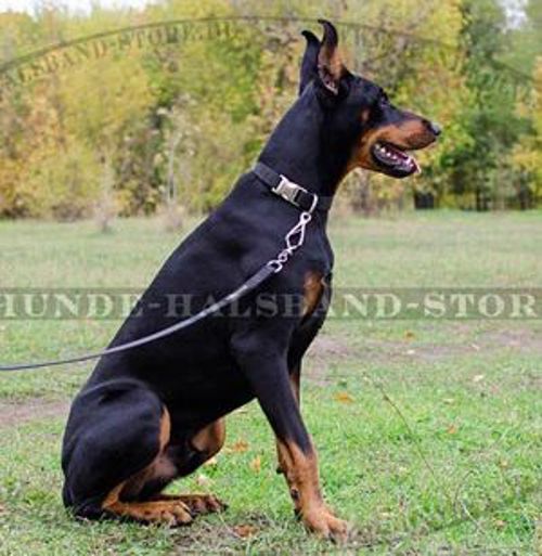 Hochwertiges Hundehalsband aus Nylon für Dobermann⑩⑩⑩