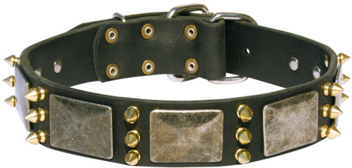 Dog Collar with Spikes and Plates 