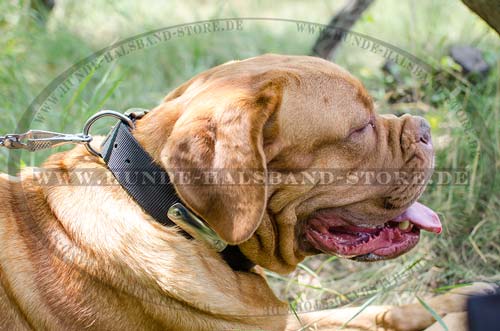 Halsband mit Namen für Hund für Bordeauxdogge