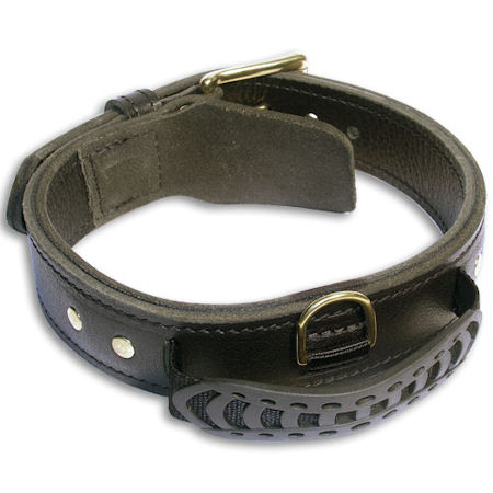 Hundehalsband Leder mit Handschlaufe