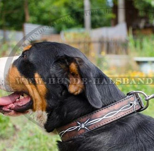 Halsband mit "Stahldraht" Bemalung für Schweizer Sennenhund - zum Schließen ins Bild klicken