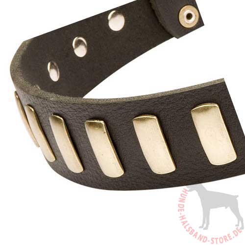 Wide Leather Dog Collar With Vertical Brass Plates 