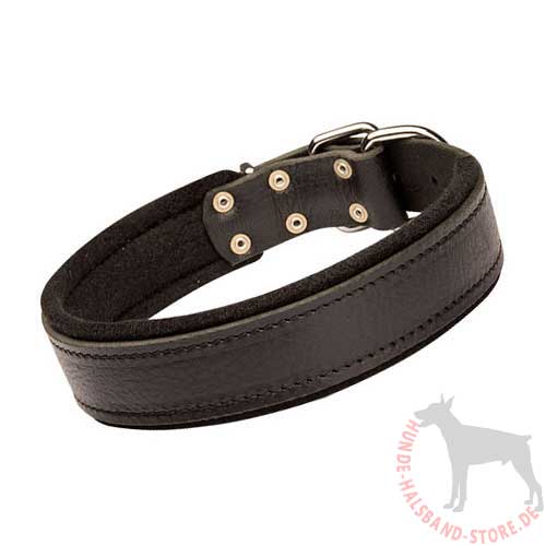 Leather Collar Wide 