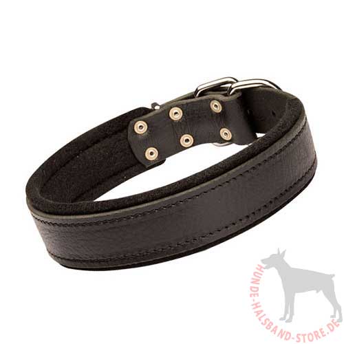 Leather Collar with Felt Padding 