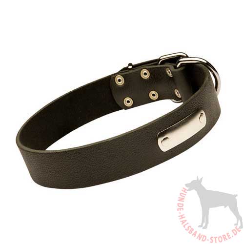 Leather Dog Collar With ID-Tag 