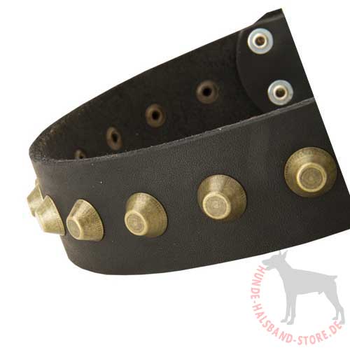 Leather Dog Collar With Brass Pyramids 